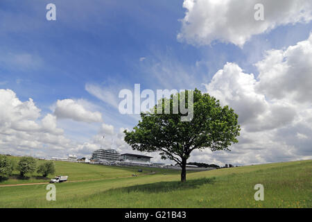 Epsom Downs, Surrey, Angleterre, Royaume-Uni. 22 mai 2016. Nuages spectaculaires sur un seul arbre de chêne sur un beau jour à Epsom Downs, Surrey, où les préparations sont en cours pour le Derby Festival le 4 juin. Credit : Julia Gavin UK/Alamy Live News Banque D'Images