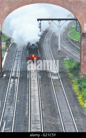 Près de Reading, Berkshire, Royaume-Uni. 21 mai, 2016. The Flying Scotsman jusqu'à la vapeur la lecture vers Détroit à Twyford 19.14 CEST rappelant une scène typique du 1930/ 1940 à l'ère de la grande époque de Transport à vapeur , le train spécial's run vu vapeur par la vallée de la Tamise, et un aller-retour via Southampton et retour à Londres Paddington peu avant 21:40.CEST . Banque D'Images