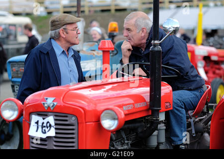 Royal Welsh Festival du printemps, mai 2016 - Agriculteurs profitez d'un chat pendant qu'ils attendent le signal pour démarrer les moteurs pour le véhicule tracteur classique et vintage défilé dans l'affichage principal arena le deuxième jour de la Royal Welsh Festival du printemps, Powys Pays de Galles. Banque D'Images