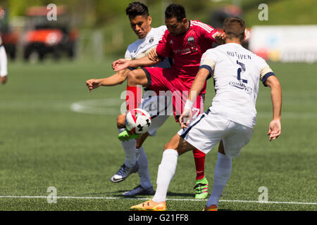 22 mai 2016 : Ottawa Fury Junior FC Paulo (7) batailles pour la balle avec Jacksonville FC Armada Tyler Ruthven (2) et Nicolas Perea (17) au cours de la NASL entre Jacksonville et FC Armada Ottawa Fury FC à la TD Place Stadium à Ottawa, ON, Canada Daniel Lea/CSM Banque D'Images