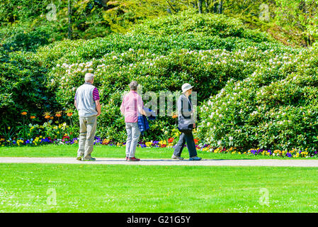 Ronneby, Suède - mai 8, 2016 : Trois personnes marchant dans le parc appréciant les rhododendrons et autres fleur sur un cadre chaleureux et Banque D'Images