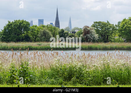 Vue sur le réservoir de l'Est dans les zones humides de la réserve naturelle de Woodberry la vieille église en Stoke Newington et le Shard, London UK Banque D'Images