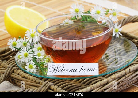 Bienvenue accueil carte avec tasse de thé de camomille avec fleurs de camomille et de citron frais Banque D'Images