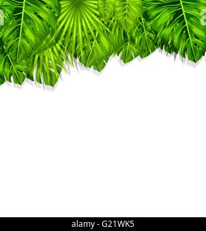 Cadre naturel avec feuilles tropicales vert Illustration de Vecteur