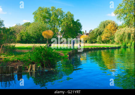 La rivière cam Cambridge cambridgeshire, pré de l'eau le long de la rivière Cam en été, Cambridge, Angleterre. Banque D'Images