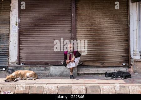 Homme assis à l'extérieur, avec obturateur shop avec deux chiens dormir à Delhi, Inde Banque D'Images