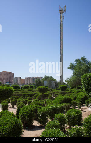 Mobile phone mast en petit parc au Koweït Banque D'Images