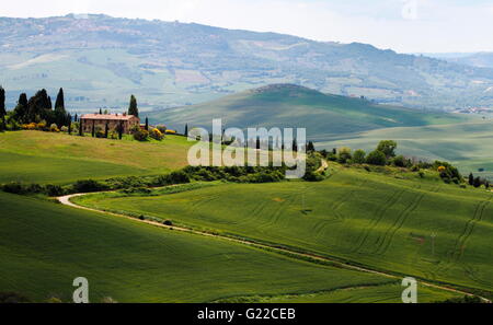 Paysage de Toscane, vu de Monticchiello dans d'Orcia Banque D'Images