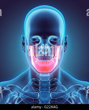 3D illustration de mandibule - Partie de squelette humain. Banque D'Images