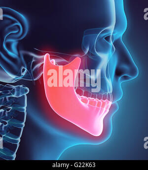 3D illustration de mandibule - Partie de squelette humain. Banque D'Images