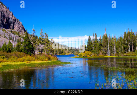 À l'automne de Twin Lakes Mammoth Lakes en Californie Banque D'Images