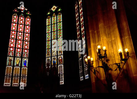 Intérieur de la cathédrale Saint-Guy, au Château de Prague, République Tchèque Banque D'Images