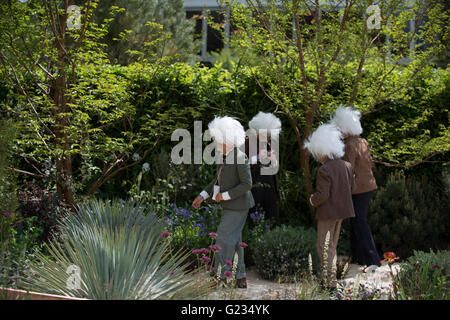 Chelsea, London UK. 23 mai 2016. Mini Einsteins sourcils broussailleux sportives et mini moustaches sur la beauté des mathématiques Winton Jardin. Appuyer sur Day pour le monde célèbre Chelsea Flower Show. Credit : Malcolm Park editorial/Alamy Live News. Banque D'Images