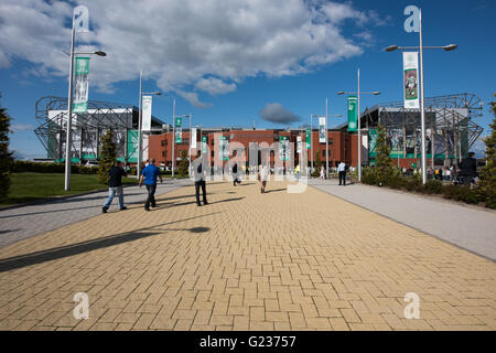 Brendan Rodgers est accueillie par des foules de fans celtique au Celtic Park, Glasgow, Ecosse, Royaume-Uni. 23 mai, 2016. Des milliers de fans se sont réunis au stade celtique d'accueillir le nouveau manager pour le club. Crédit : Tony Clerkson/Alamy Live News Banque D'Images