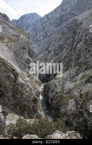 Vue de la Gorges de Cares (Garganta del Cares), Picos de Europa, les Asturies, dans le Nord de l'Espagne. Banque D'Images
