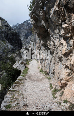 Vue de la Gorges de Cares (Garganta del Cares), Picos de Europa, les Asturies, dans le Nord de l'Espagne. Banque D'Images