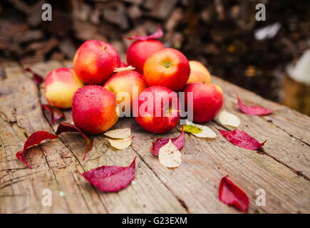 Quelques pommes rouges dans le village sur une table en bois avec warerdrops sur les pommes Banque D'Images