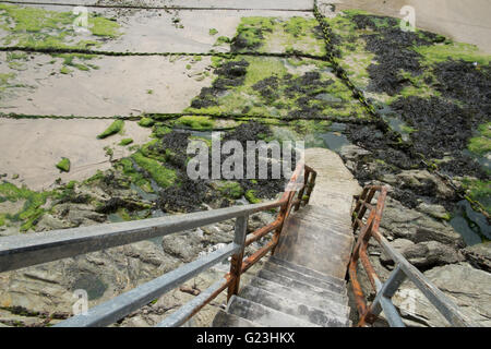 L'abrupte escalier métal rouillé du port à marée basse à Newquay Cornwall Angleterre Grande-bretagne UK Banque D'Images