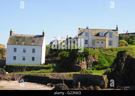 Deux maisons sur une colline St Abbs Ecosse centrale Banque D'Images