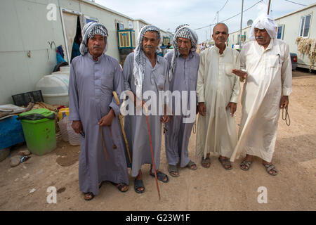 Maisons conteneurs des Iraquiens déplacés dans le camp de réfugiés de Anwald, le nord de l'Iraq Banque D'Images