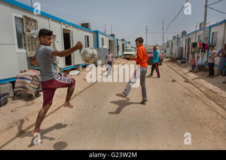 Maisons conteneurs des Iraquiens déplacés dans le camp de réfugiés de Anwald, le nord de l'Iraq Banque D'Images