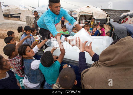 La distribution des glaces à des Iraquiens déplacés à Anwald, camp de réfugiés du nord de l'Iraq Banque D'Images