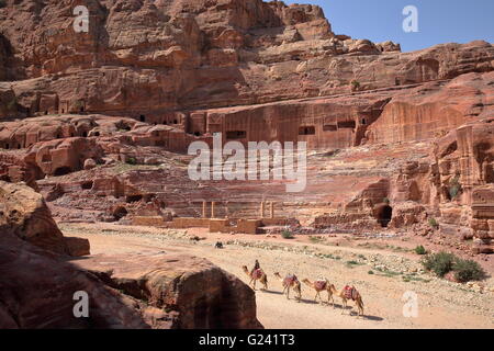 Les chameaux le long du théâtre romain à Petra, Jordanie Banque D'Images