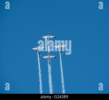 Les faucons d'argent volant en formation au cours de l'Airshow Lowveld 2016 Banque D'Images