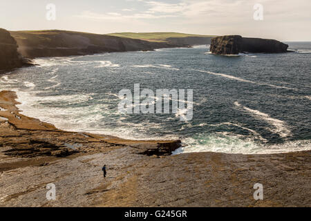 Walker sur la section de la côte de Loop Head, Comté de Clare, Irlande Banque D'Images