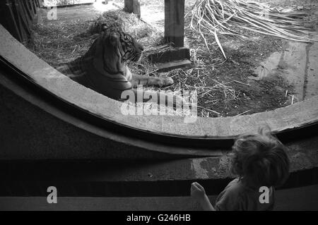 Image Exploring People Relationship with Animals, London Zoo, Londres, Angleterre, Royaume-Uni, GB. Banque D'Images