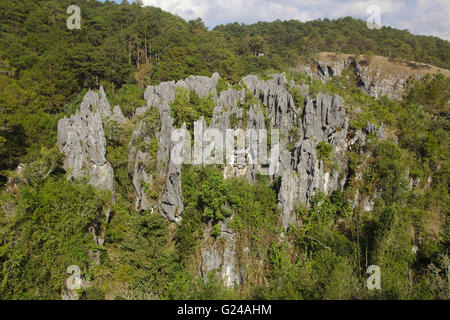 Sugong cercueils suspendus près de Sagada, dans le nord de Luzon, Philippines Banque D'Images