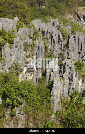 Sugong cercueils suspendus près de Sagada, dans le nord de Luzon, Philippines Banque D'Images