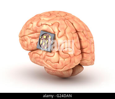 Cerveau humain avec la puce d'ordinateur Banque D'Images