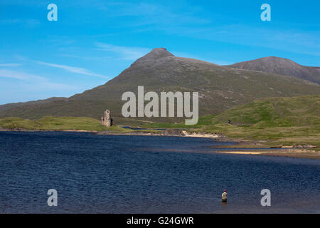 Pêche à la Mouche par Ardvreck Castle, Loch Assynt, Assynt, avec Quinag en arrière-plan, Sutherland, Scotland Banque D'Images