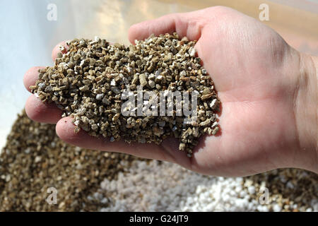 Close up de vermiculite - utilisé dans les plantes en pot comme la culture hydroponique Banque D'Images