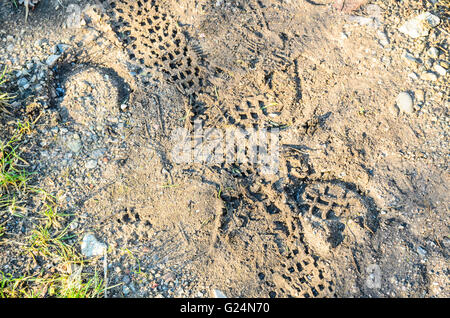 Les voies de Walker, VTT et cheval dans la boue séchée Banque D'Images