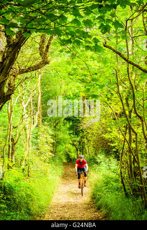 Le cycliste byway appelé Dollywood Lane near Arnside Cumbria Banque D'Images