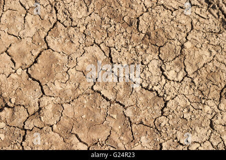 Une belle photo de boue séchée et craqué, sol, texture, motif, background, close-up, de détail, de la terre, le sol, brown Banque D'Images