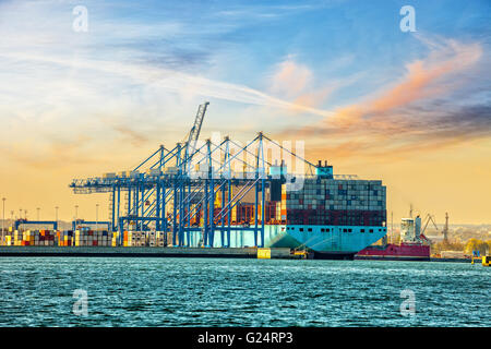 Chargement de conteneurs dans le port de Gdansk, Pologne. Banque D'Images