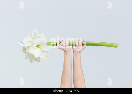 Female hands holding lily isolé sur fond blanc Banque D'Images