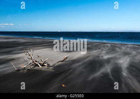 Plage San Ignacio Lagoon, Baja California, Mexique Banque D'Images