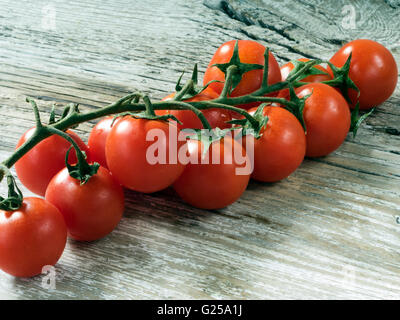 Tomates cerise sur vine Banque D'Images