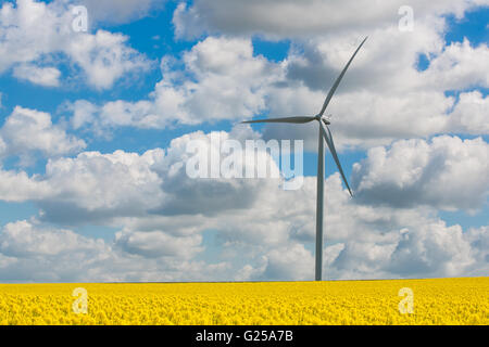 Wind turbine in rapeseed field, Reims, France Banque D'Images