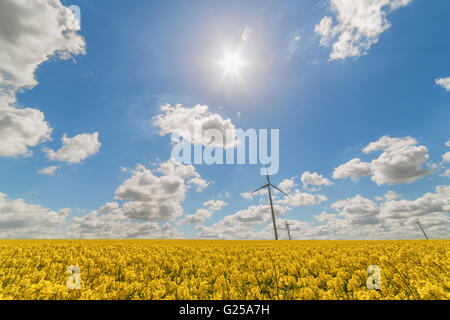 Wind turbine in rapeseed field, Reims, France Banque D'Images