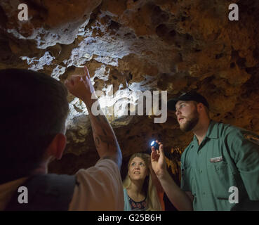 Florida Caverns State Park à Marianna, en Floride, propose des visites de cave formations géologiques fantastique de calcaire. Banque D'Images