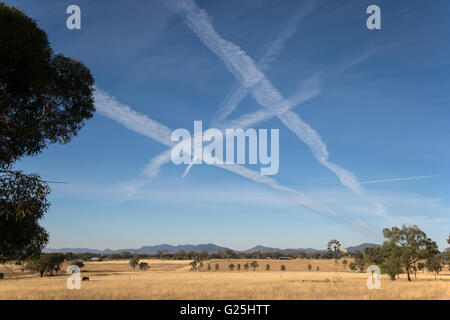 Des traînées de vapeur d'aéronefs au-dessus de terres agricoles, Tamworth NSW Australie. Banque D'Images