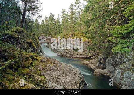 Little Qualicum Falls Provincial Park Lower River Banque D'Images