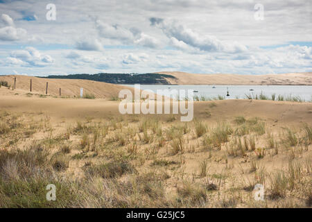 Vue sur le bassin d'Arcachon et de la Duna de Pyla, Aquitaine, France Banque D'Images