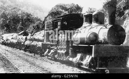 Alishan Forest Railway, Taïwan, c 1921 Banque D'Images