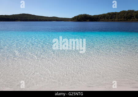 Lac McKenzie, UNESCO World Heritage Site, Fraser Island, Great Sandy National Park, Queensland, Australie Banque D'Images